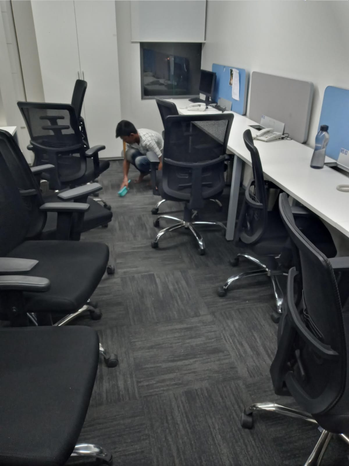 Professional Carpet Deep Cleaning